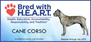 Graphic for the Bred with HEART AKC Program for Cane Corso